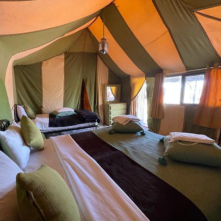Roses Desert Camp Merzouga Dış mekan fotoğraf